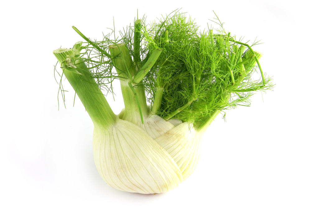 Fennel with Root