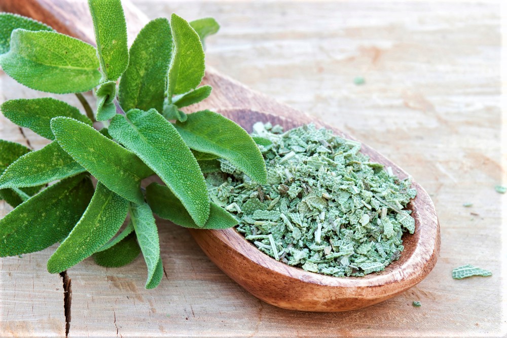 Fresh Sage leaves next to a bowl of dried sage.